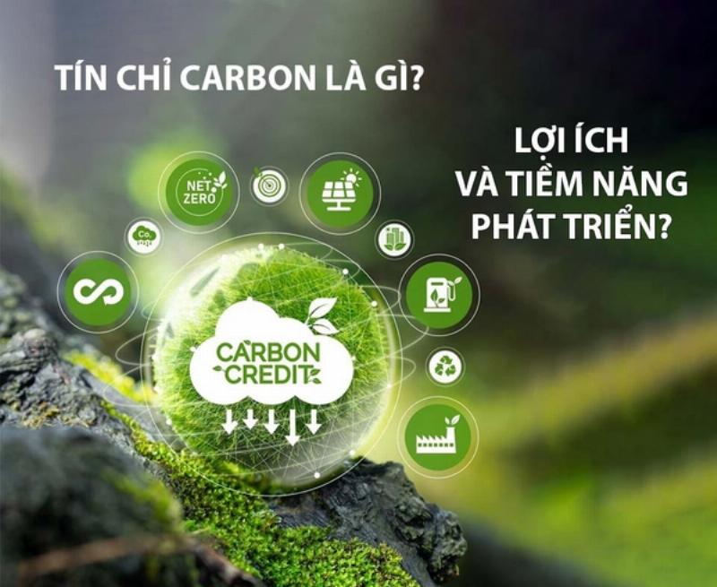 Lợi ích kinh tế và môi trường khi doanh nghiệp tham gia thị trường tín chỉ carbon